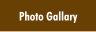 Photo Gallary